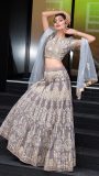 Grey all over embroidered lehnga choli