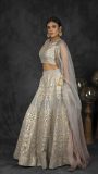 Grey and Silver Lehenga with heavy embroidered and Dupatta