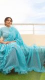 Designer Saree with checked collar blouse