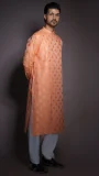 Festive Embroidered Kurta For Men