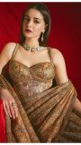 Saree in Organza with corset blouse in silk dupion