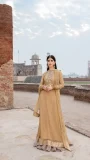pure chiffon floor length beige gown by Lajwanti