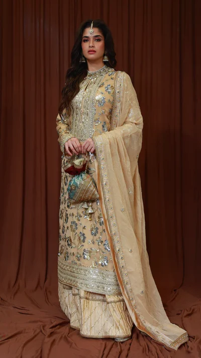 Beige Embroidered Chiffon Gharara