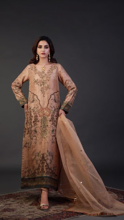 Luxurious Ensemble Long Fitted Dress